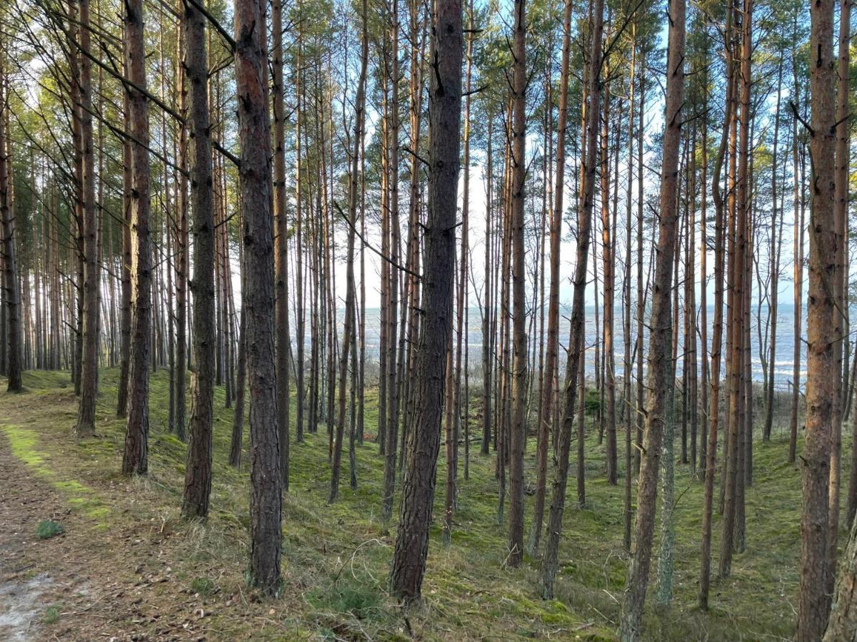 Wygodny eko domek koło nadmorskiego Parku Krajobrazowego Karwienskie Bloto Drugie Zewnętrze zdjęcie